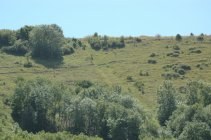 Devils Dyke